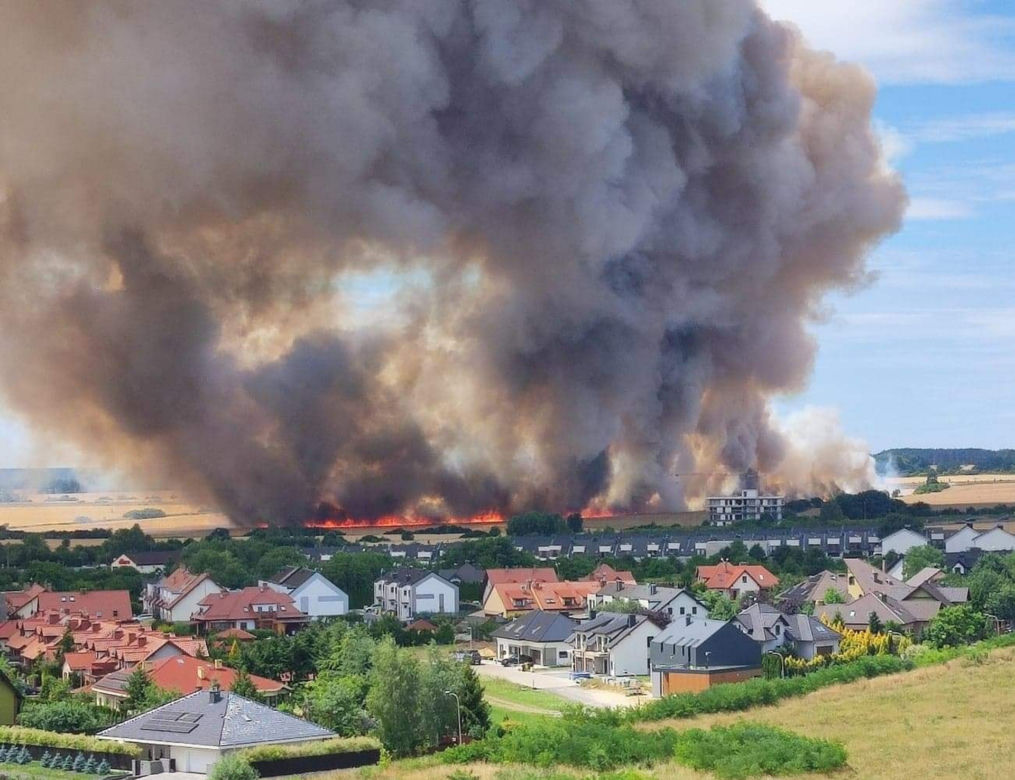 Potężny pożar zboża pod Lubinem. Kłęby dymu widać z odległości kilkudziesięciu kilometrów 