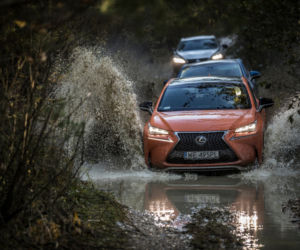 Lexus Driving Emotions 2017