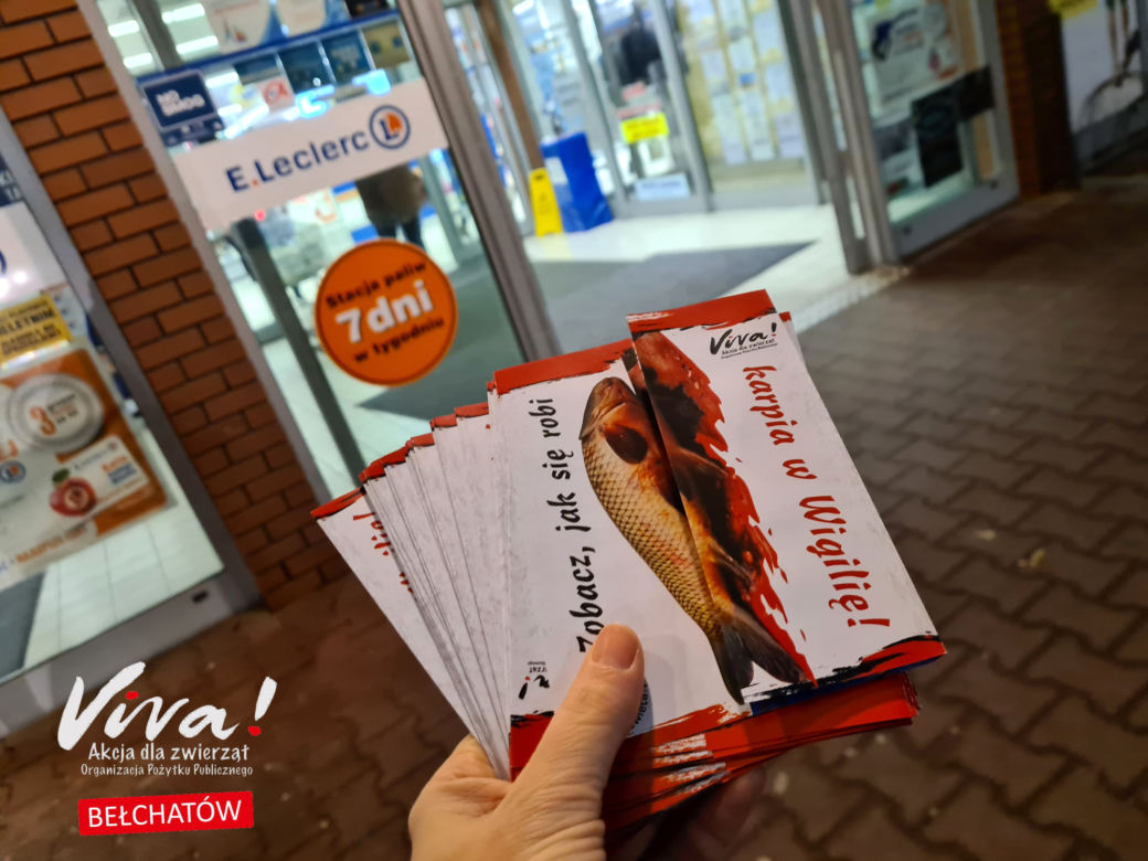 Bełchatów: Obrońcy zwierząt z akcją w markecie! 