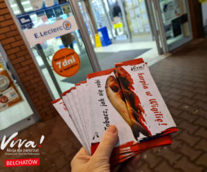 Bełchatów: Obrońcy zwierząt z akcją w markecie! 