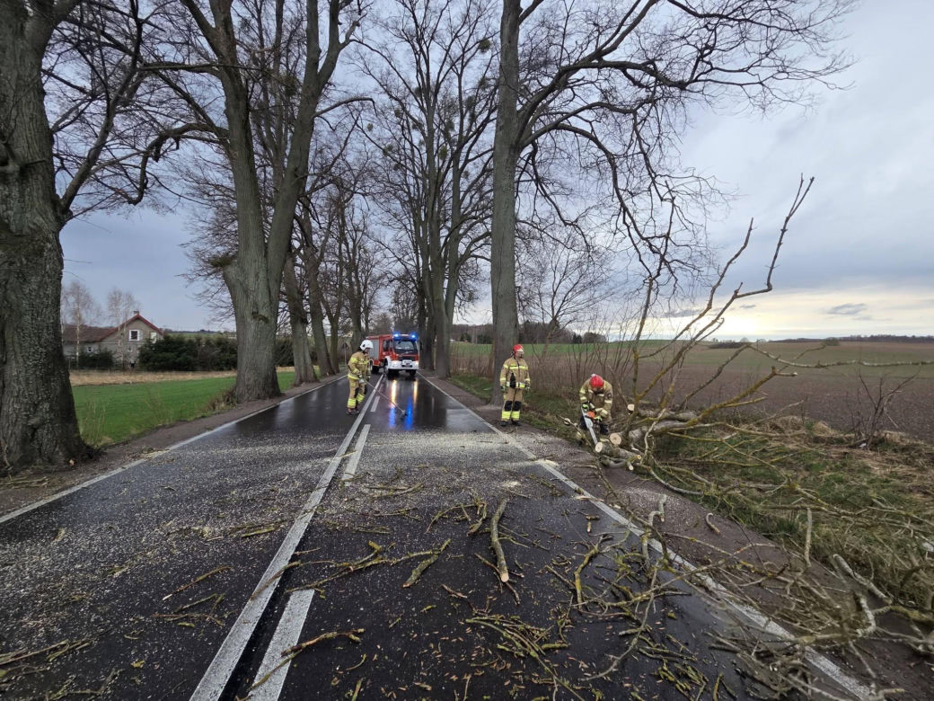 Interwencje strażaków w powiecie iławskim podczas Wielkanocy