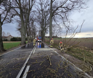Interwencje strażaków w powiecie iławskim podczas Wielkanocy