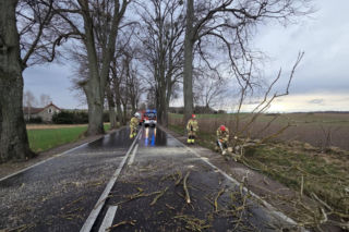 Interwencje strażaków w powiecie iławskim podczas Wielkanocy