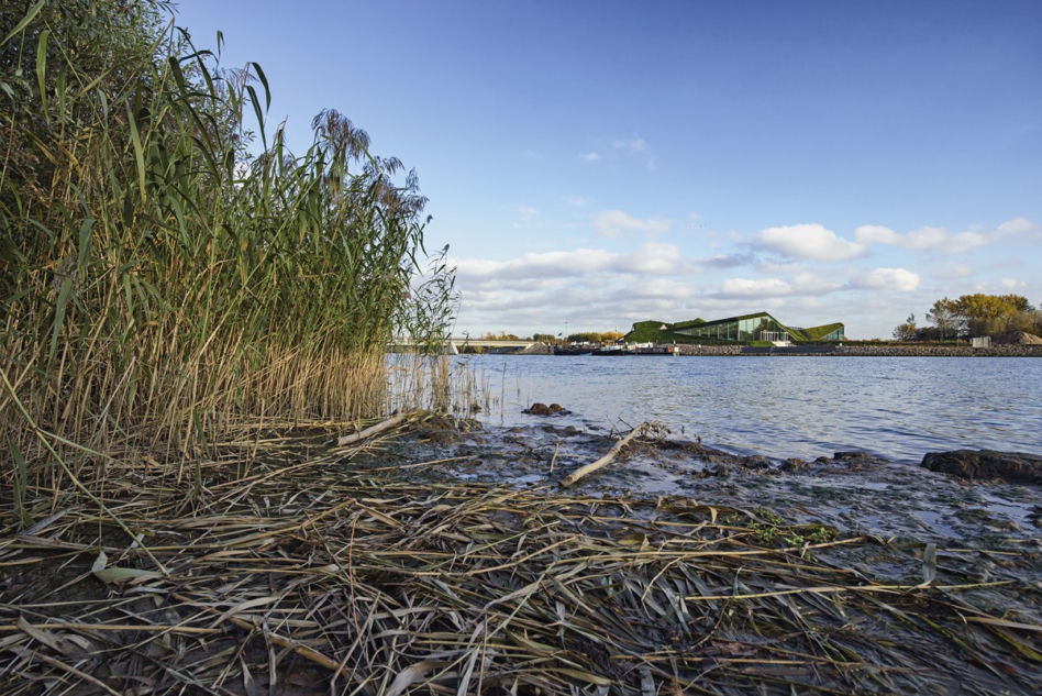 Muzeum Biesbosch w Holandii