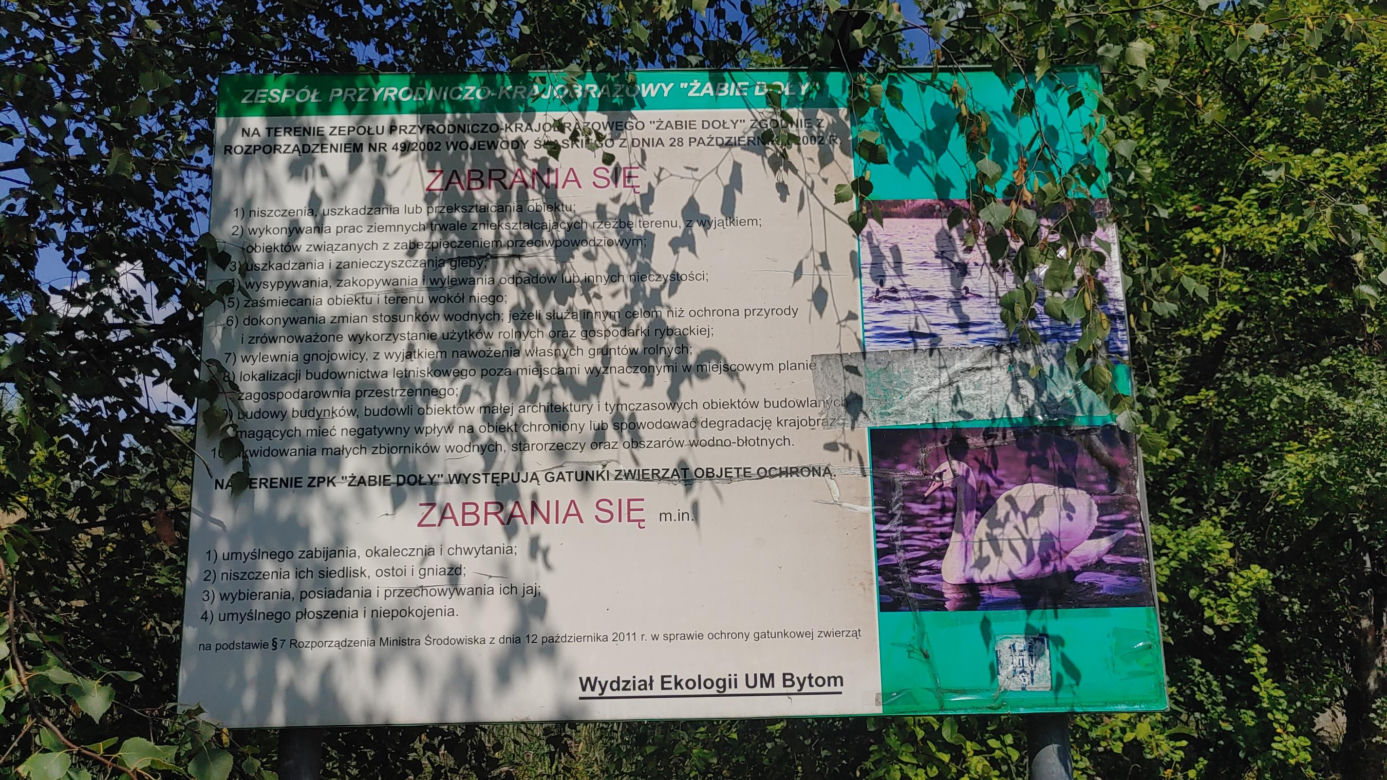 Żabie Doły zanieczyszczone zakwitem sinic