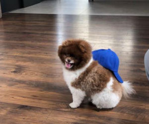 Fit Lovers ujawnili płeć dziecka