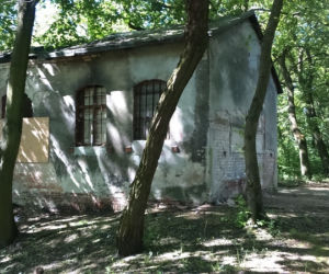 Park Tysiąclecia w Toruniu czekają spore zmiany