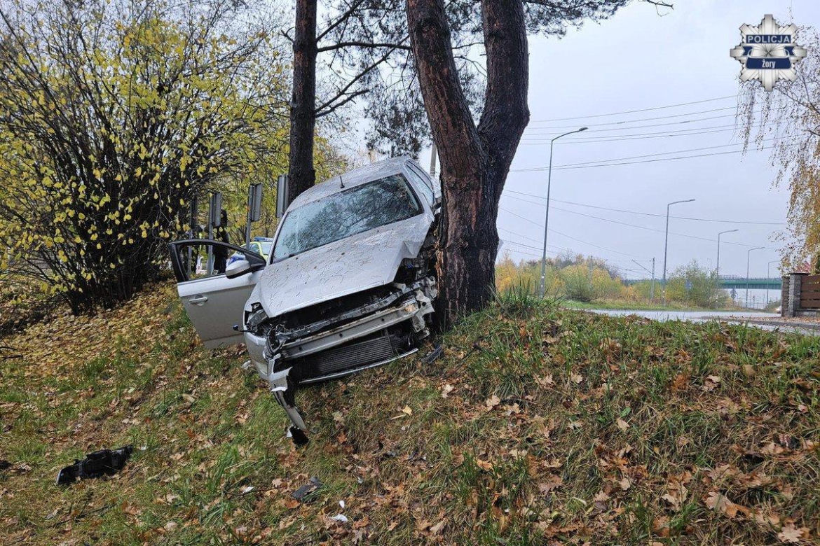 Pijany Ukrainiec rozbił auto na drzewie