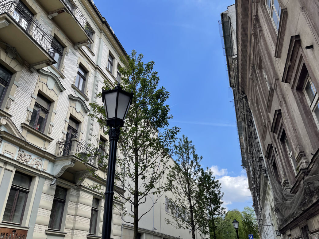Zieleń w centrum miasta. Tak zmienia się ul. Krupnicza w Krakowie! 