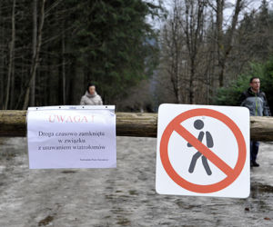Halny w Tatrach. Połamane drzewa, uszkodzone domy