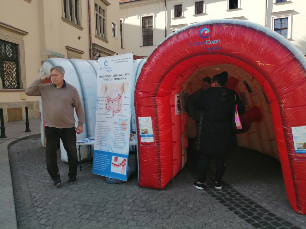 Wielkie jelito grube w centrum Krakowa