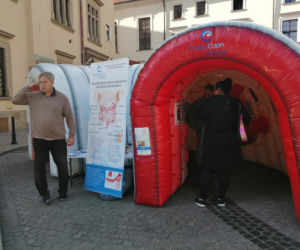 Wielkie jelito grube w centrum Krakowa