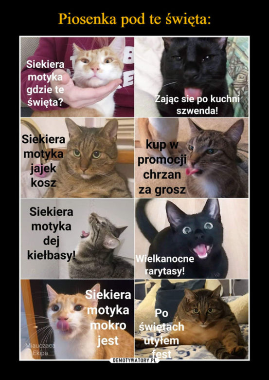 Wielkanoc 2020. Top 10 najlepszych memów na święta wielkanocne!