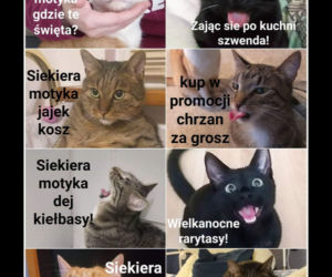 Wielkanoc 2020. Top 10 najlepszych memów na święta wielkanocne!