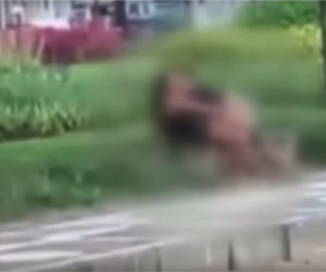 Uprawiali seks na ulicy w biały dzień! Film trafił do sieci