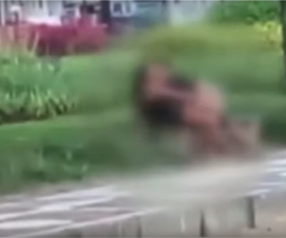Uprawiali seks na ulicy w biały dzień! Film trafił do sieci