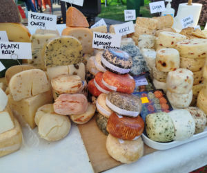 Impreza Wiosna na polu i w ogrodzie odbyła się w Siedlcach już po raz 18.