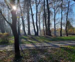 Park Miejski w Toruniu