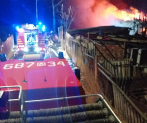 Makabra pod Wołominem. Ogromny pożar obrócił dom w zgliszcza. Kobieta spłonęła żywcem