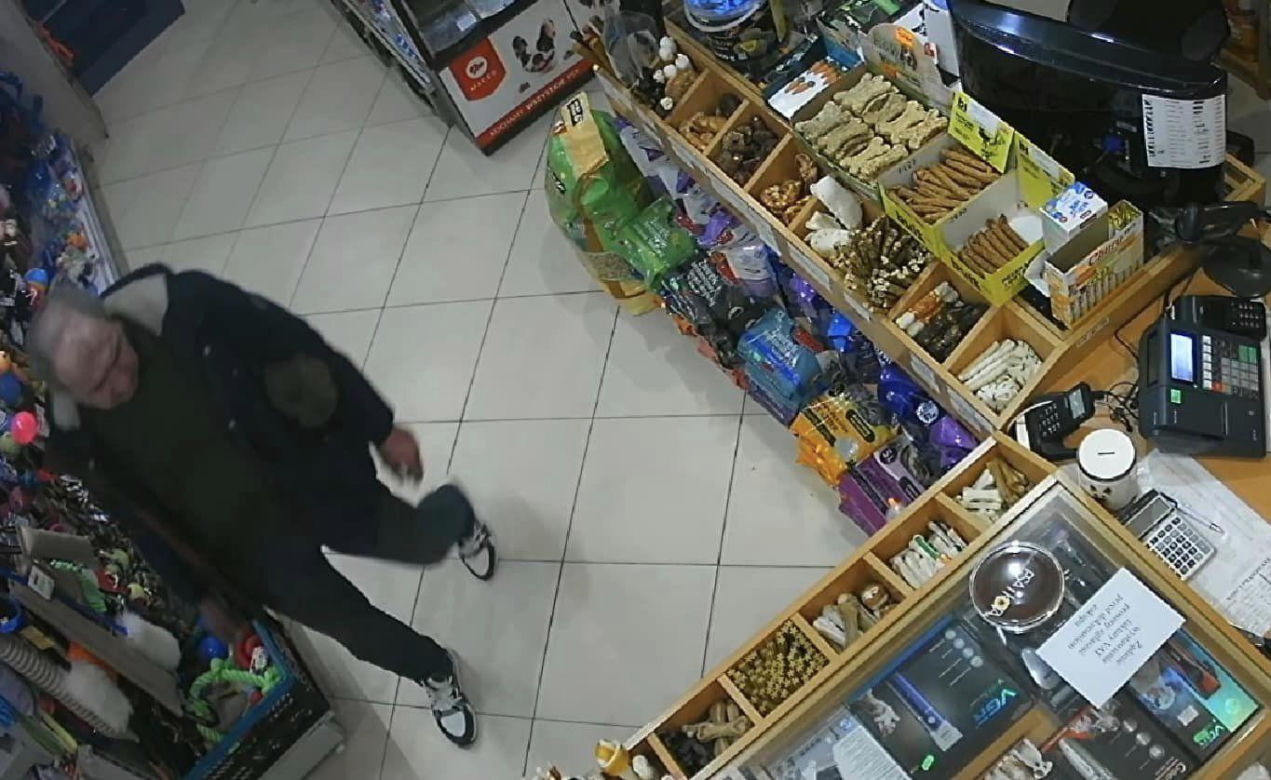 Ci mężczyźni okradki psiaki ze schroniska! Wszystko się nagrało 