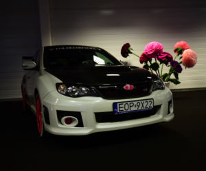 Warsaw Motor Show 2019 w Ptak Warsaw Expo