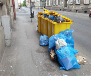 Bydgoszczanie mają już dość! Wciąż toną w śmieciach!