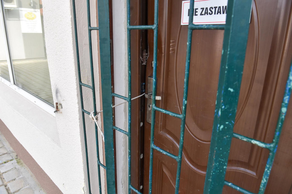  37 martwych zwierząt w siedzibie fundacji, która miała opiekować się psami i kotami