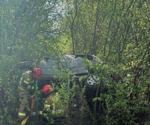 Pijany kierowca wypadł z jezdni i wbił się w drzewo