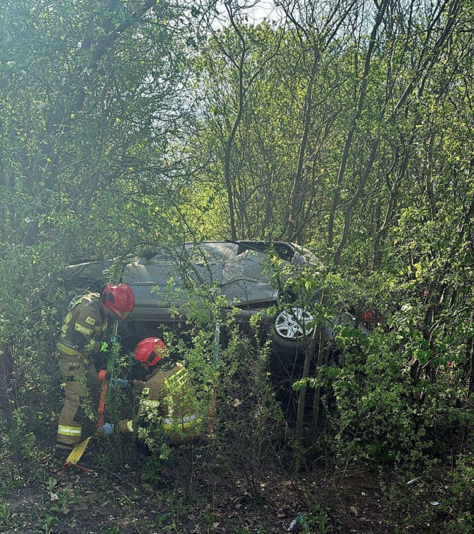 Pijany kierowca wypadł z jezdni i wbił się w drzewo