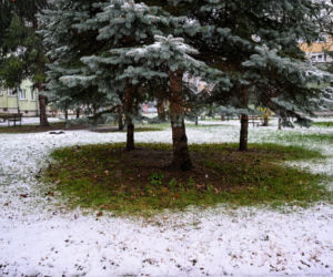 Atak zimy w Polsce. Tutaj zrobiło się biało