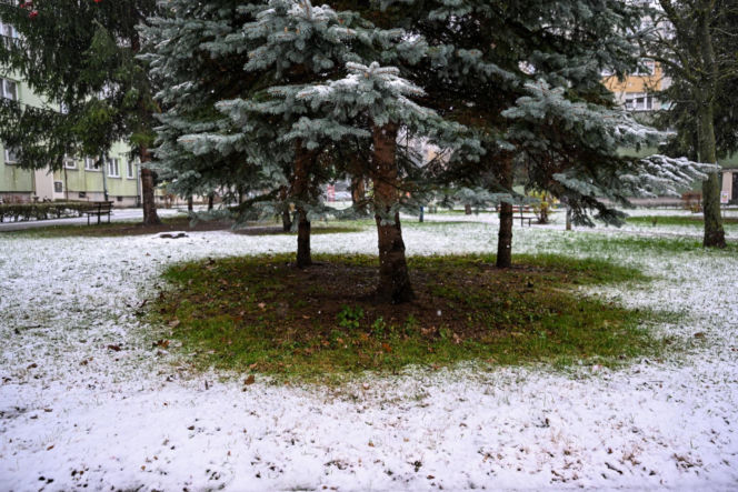 Atak zimy w Polsce. Tutaj zrobiło się biało