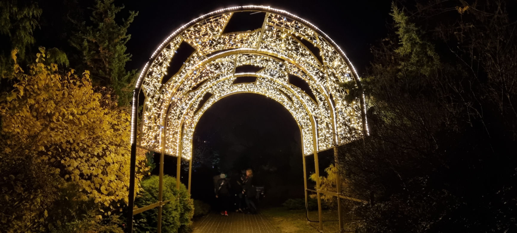 Ogród Botaniczny po zmroku zamienia się w magiczny ogród [GALERIA]