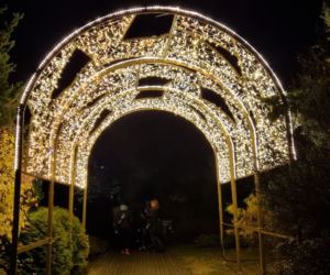 Ogród Botaniczny po zmroku zamienia się w magiczny ogród [GALERIA]