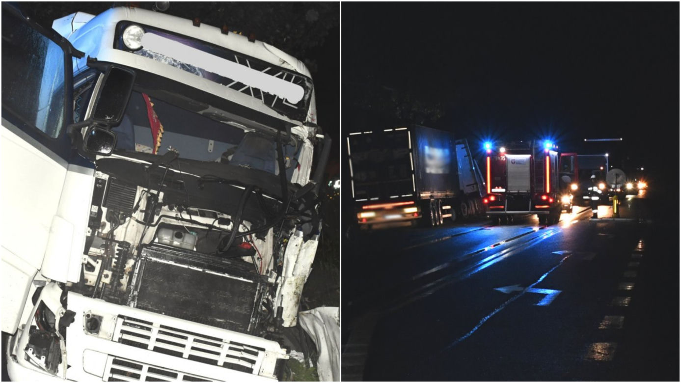 Nie żyje mieszkaniec Gostynina! Jego volvo rozbiło się o drzewo na DK nr 7 [ZDJĘCIA]