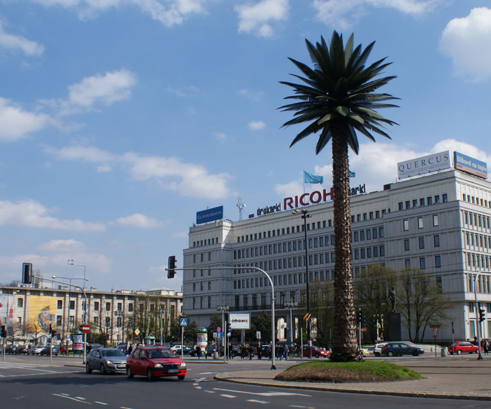 Palma na Alejach Jerozolimskich