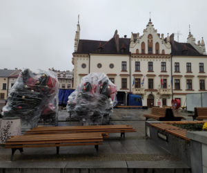 Stawiają świąteczną choinkę na rzeszowskim rynku [ZDJĘCIA]