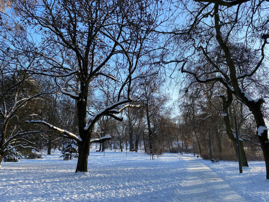 Śnieżna zima w Parku Praskim