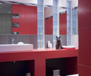 Luksfery: pomysły na ścianki z luksferów