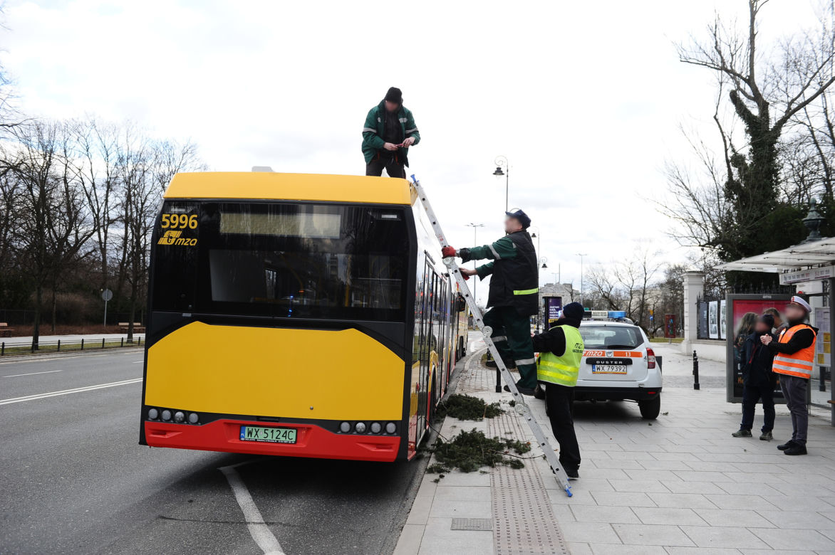 Warszawa: Al Ujazdowskie, potężne drzewo spadło na autobus i zablokowało ulicę
