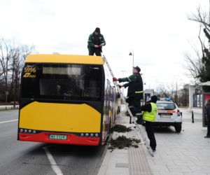 Warszawa: Al Ujazdowskie, potężne drzewo spadło na autobus i zablokowało ulicę