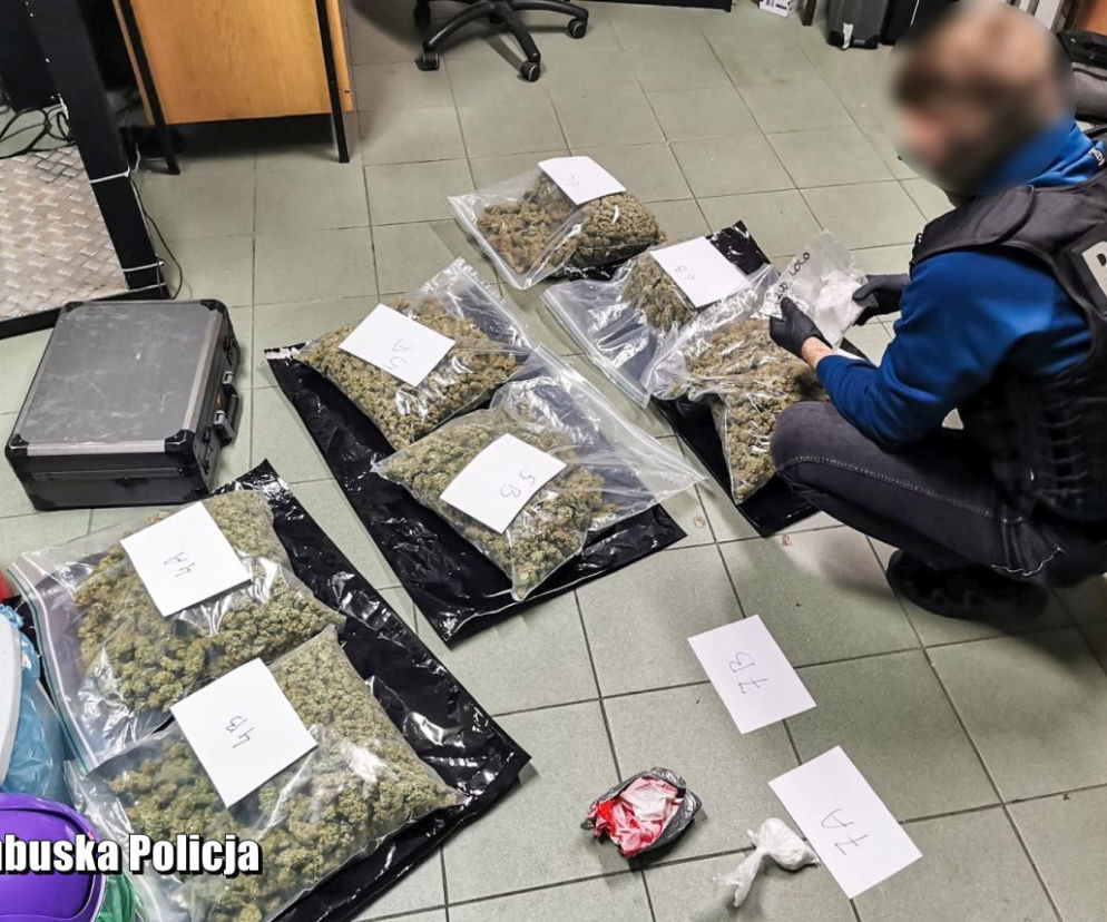 Zatrzymali busa, szukając migrantów. Znaleźli narkotyki warte ćwierć miliona złotych