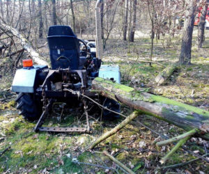 Dramatyczne chwile koło Torunia. Mężczyznę przygniotło drzewo