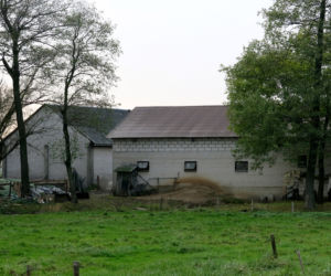 Roszki-Wodźki (woj. podlaskie). Rozrzutnik wciągnął rolnika.