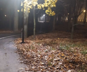 Zabójstwo księdza w parku w Siedlcach [ZDJĘCIA]