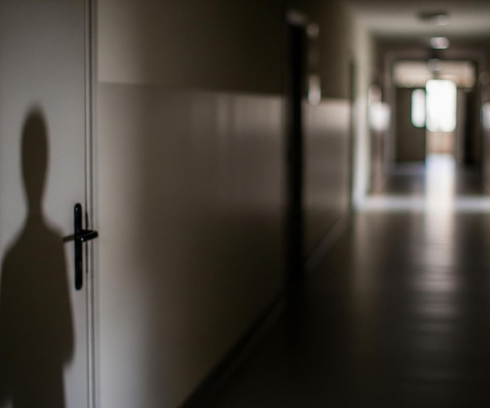 Na pierwszym planie widoczny jest cień osoby rzucany na jasne drzwi z czarną klamką, umieszczone po lewej stronie kadru. Głęboki korytarz, oświetlony odległym, jasnym oknem na końcu, rozciąga się w prawo, stopniowo zanikając w ciemności. Ściany korytarza są beżowe, a podłoga ciemna, z odbiciami światła.