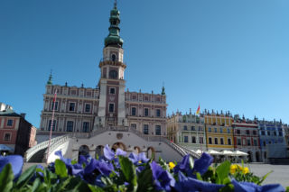 Zamość: wiosna zadomowiła się na dobre! [GALERIA]
