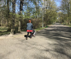 Katowice: Tłumy w Parku Kościuszki. Mieszkańcy ruszyli na spacery