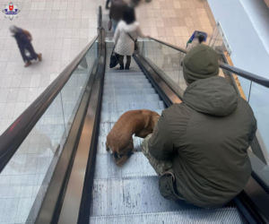 Tajga z lubelskich kontrterrorystów wróciła z międzynarodowego szkolenia