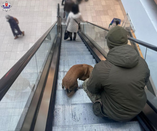 Tajga z lubelskich kontrterrorystów wróciła z międzynarodowego szkolenia