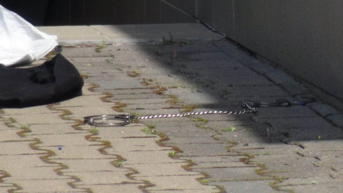 Alarm w Piasecznie! Więzień pobił policjanta i uciekł sprzed sądu!